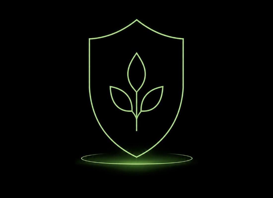 Immunity and wellness illustration